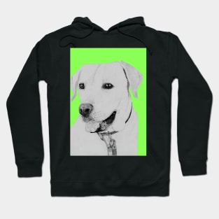 Golden Retriever in Green Hoodie